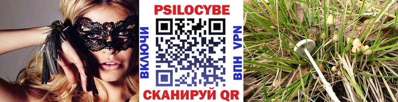 Галлюциногенные грибы Psilocybine cubensis Тейково
