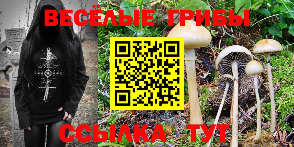 Галлюциногенные грибы Magic Shrooms Тейково